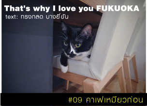 That's why I love you FUKUOKA～หลายเรื่องน่ารักจากฟุกุโอะกะ～#09 คาเฟ่เหมียวก่อน 