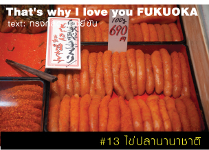 That's why I love you FUKUOKA～หลายเรื่องน่ารักจากฟุกุโอะกะ～#13 ไข่ปลานานาชาติ