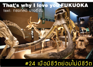 That's why I love you FUKUOKA～หลายเรื่องน่ารักจากฟุกุโอะกะ～#24 เมื่อมีชีวิตย่อมไม่มีชีวิต