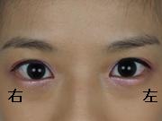 eyeline5.jpg
