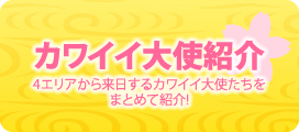 カワイイ大使紹介
