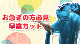 お急ぎの方必見 早業カット