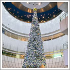 リバーウォーク北九州　【星空のクリスマス】