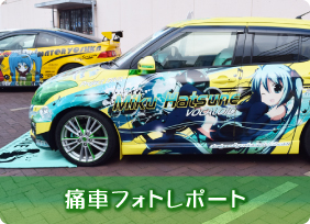 f549a7b8a682fc.jpg