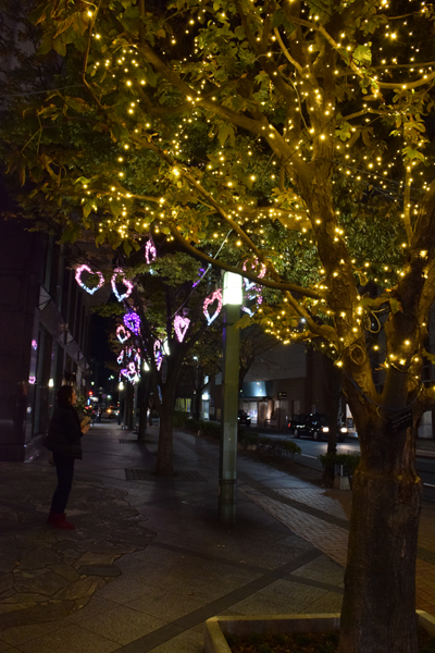 DSC_0391.jpg