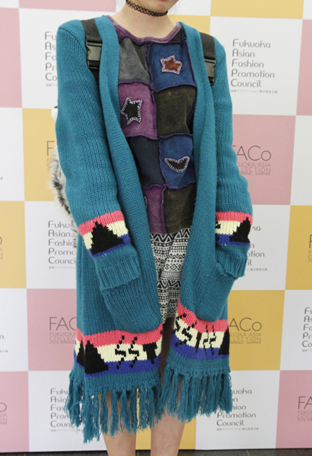 wfs_FACo2016