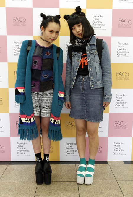 wfs_FACo2016