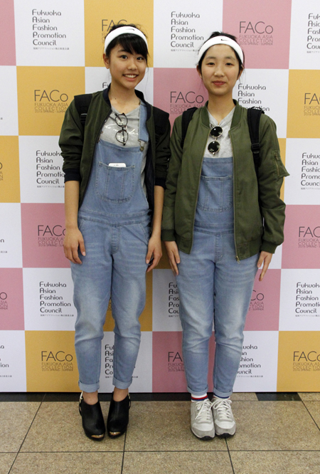 wfs_FACo2016