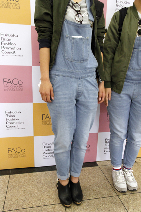 wfs_FACo2016