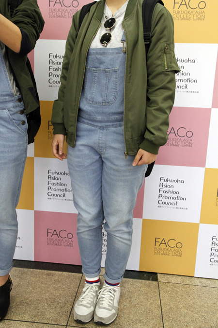 wfs_FACo2016