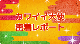 カワイイ大使 密着レポート