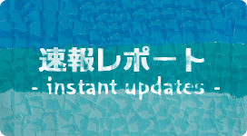 速報レポート