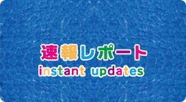 速報レポート