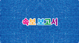 속보 보고서