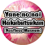 The Roofless Museum