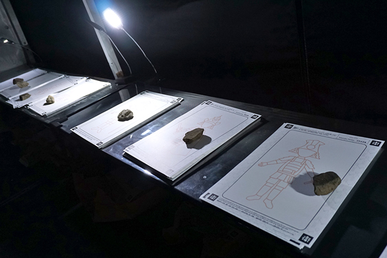 チームラボ 福岡城跡 光の祭 2019-2020