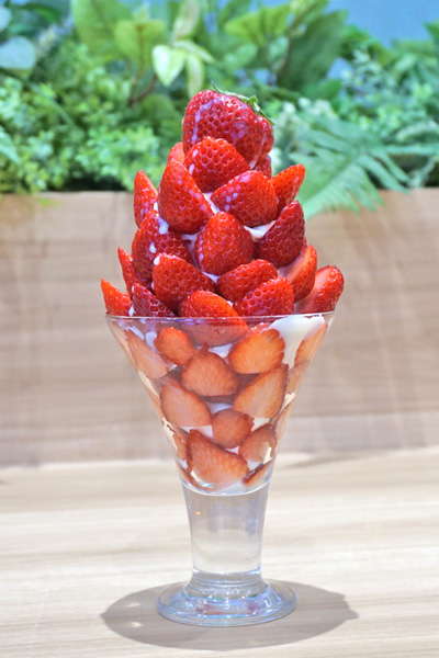 fruit&sandwich Cafe 3-5-8
