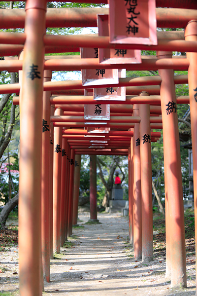 宝满宫灶门神社