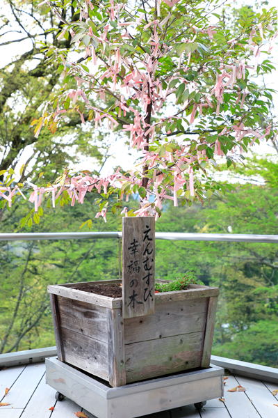宝満宮竈門神社