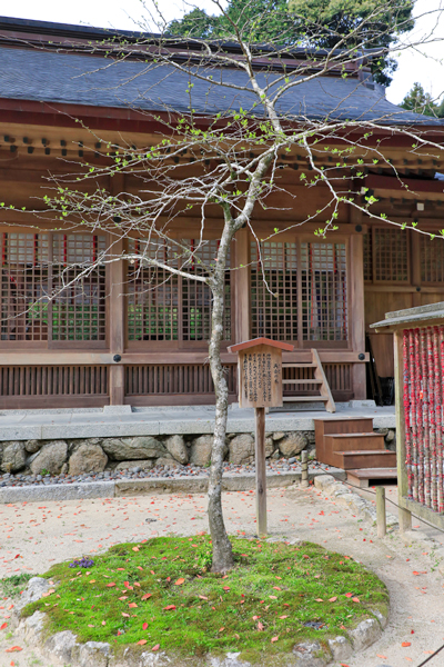 宝満宮竈門神社