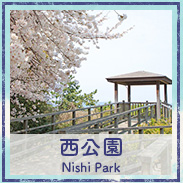 Nishi Park