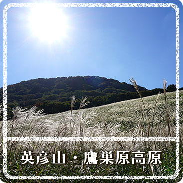 英彦山・鷹巣原高原
