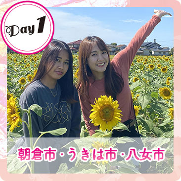 朝倉市、うきは市、八女市