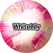 button.jpg