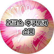 보크스 후쿠오카 쇼룸